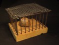 /album/galerie-de-photos-escargots/esc-box-cage-lion-jpg/